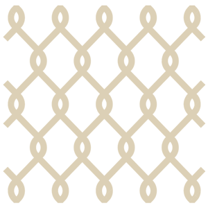 Fencing Icon